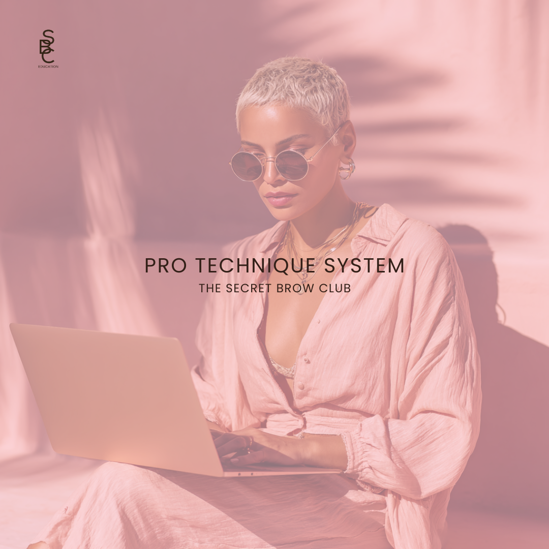 PRO TECHNIQUE SYSTEMS